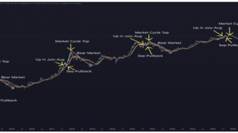 Bitcoin And Crypto Market To Crash? Analyst’s August-September Prediction