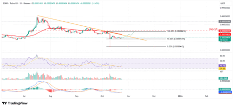 BONK/USDT daily chart 
