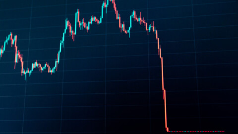 Crypto stock emerges as rare winner amid market crash
