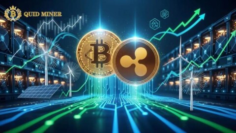 How Quid Miner Cloud Mining Builds the Blockchain Ecosystem