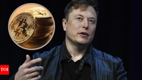 'Impossible to fake energy': Elon Musk reverses stance, now backs Bitcoin — What he said