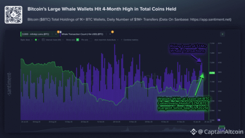 This Bitcoin Whale Behavior Is Making Bears Nervous Again