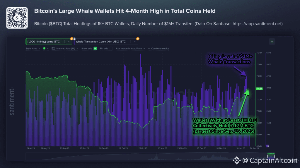 This Bitcoin Whale Behavior Is Making Bears Nervous Again